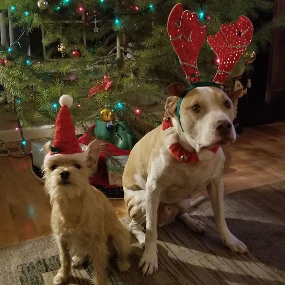 Meet your Posher, Chris - Picture 1 of 1